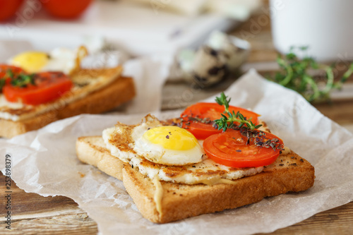 Sandwich with fried egg, tomato and fried cheese.