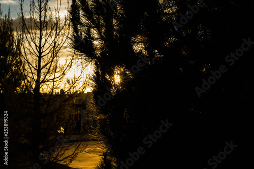 Fototapeta Naklejka Na Ścianę i Meble -  sunset in the park