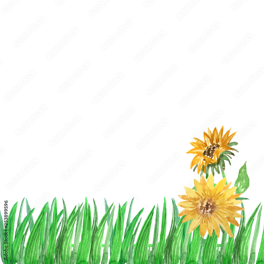 watercolor grass frame with sunflowers on a white background for the design of cards, invitations, decoration.