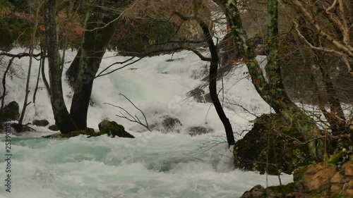 dangerous river flooding the trees and rocks in winter photo