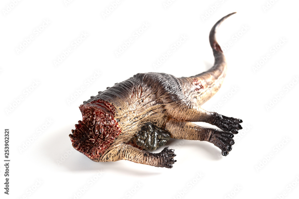 dinosaur dead body on a white background dinosaur dead body on a white background