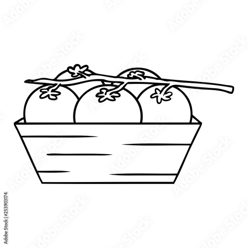 line drawing doodle of a box of tomatoes
