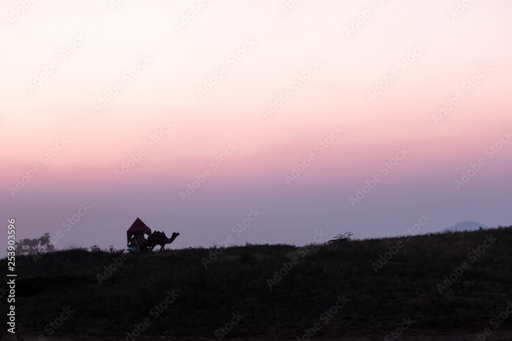 Camel fair of Pushkar with the cityscape of the town Camel fair of Pushkar with the cityscape of the town