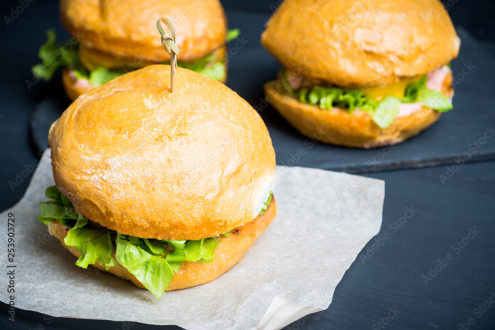 Tasty burger with fresh buns, meat and salad. Selective focus. Tasty burger with fresh buns, meat and salad. Selective focus.