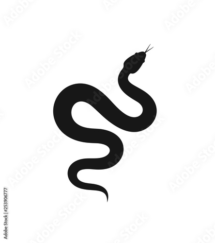 Fotografie, Obraz Snake silhouette. Isolated snake on white background