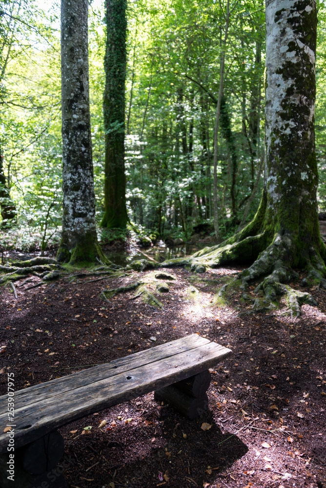 Plitvice Lakes National Park in Croatia Plitvice Lakes National Park in Croatia