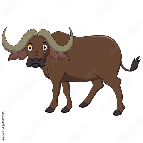 Illustration of Cute African Buffalo