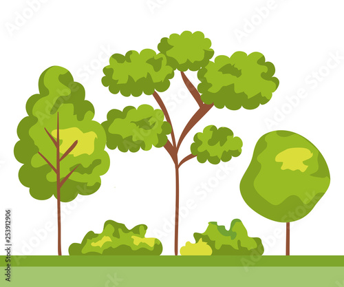 city park with natural trees with bushes