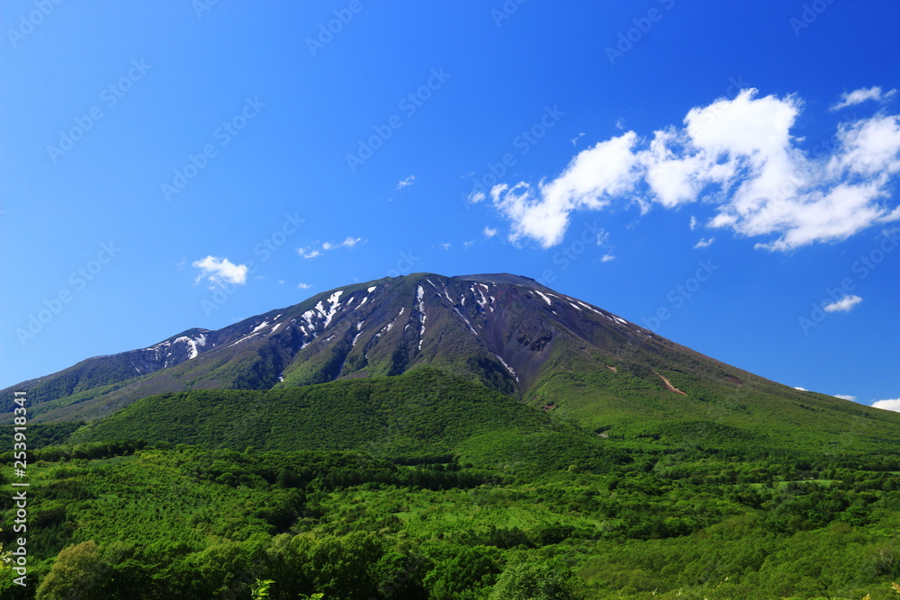 新緑の季節　岩手山のある風景