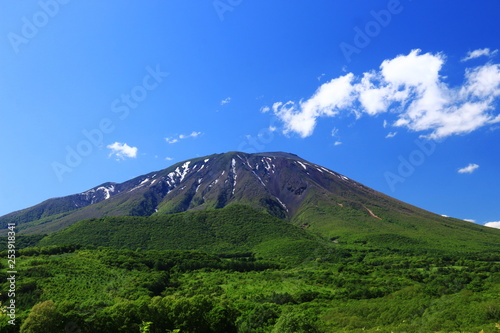 新緑の季節 岩手山のある風景