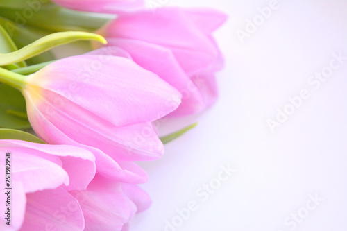 Beautiful gentle  bright spring floral composition. Bouquet of pink tulips on a white background. Top view