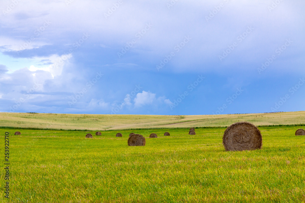 Hay bales before dusk on a rural landscape Hay bales before dusk on a rural landscape