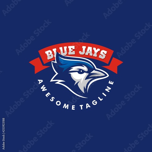 Blue Jay illustration vector template
