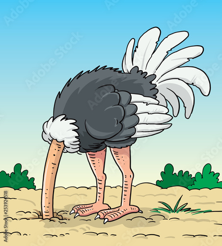 Ostrich hides its head in the ground - Illustration