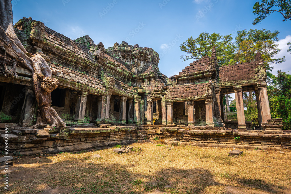 Preah Khan temple, Cabodia: Third enclosure wall east gopuram (entrance) with tree grown onto building