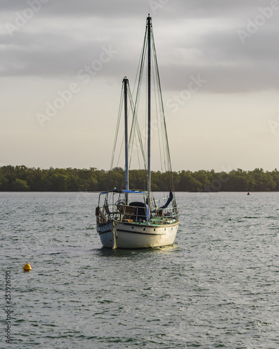 Sailboat docked in the river