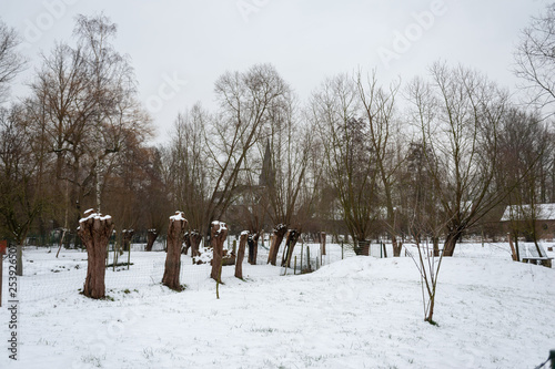 Winter Landscape in Belgium