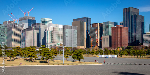 Skyline with park in forground of Tokyo Japan