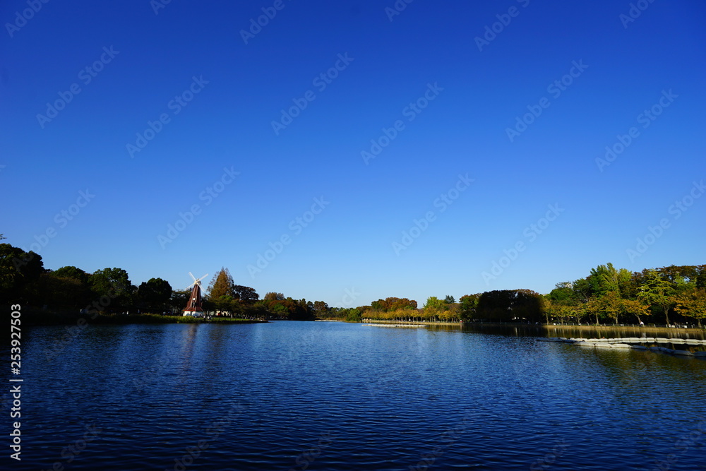 Obraz premium 快晴の浮間公園 池