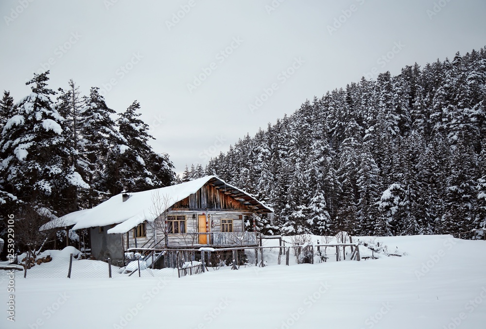 spectacular snow scenes .artvin/savsat/turkey