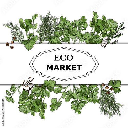 Frame of color  hand drawn sketch of  different green herbs and spices. Temlate for design banner, menu, tag
