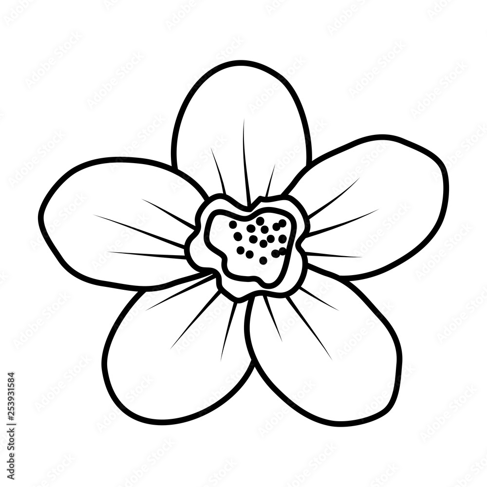 beautiful flower decorative icon beautiful flower decorative icon