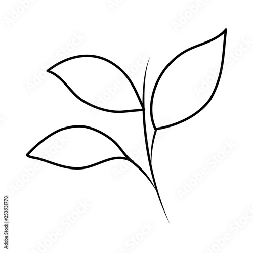 branch with leafs plant