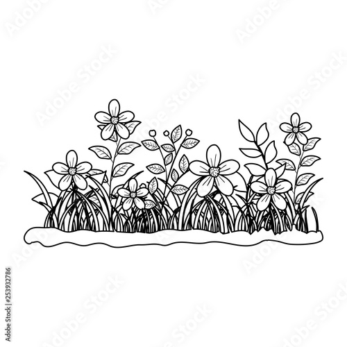beautiful flowers with grass garden scene