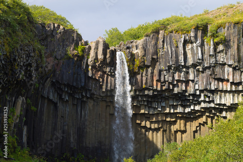 Svartifoss falls in summer season view, Iceland