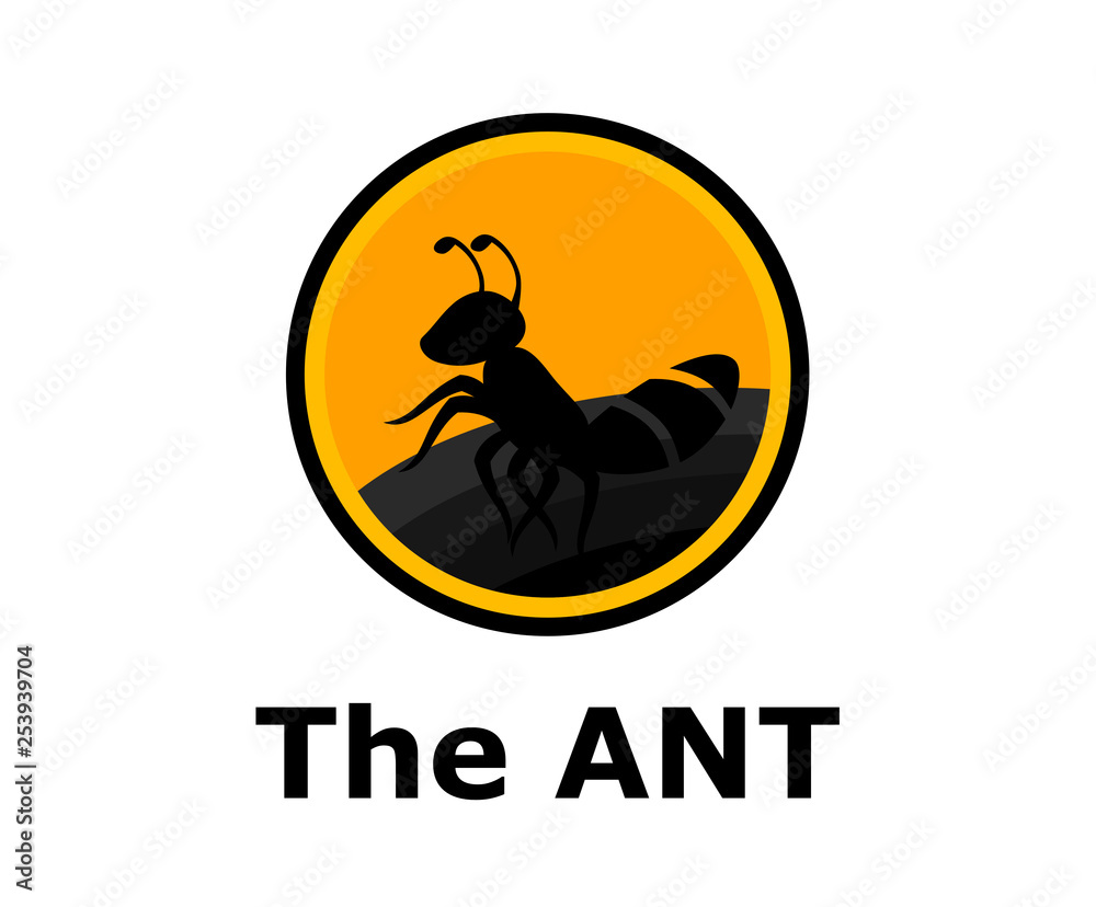 ant concept 3 ant concept 3