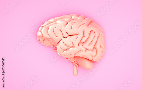 Pink brain on the color background