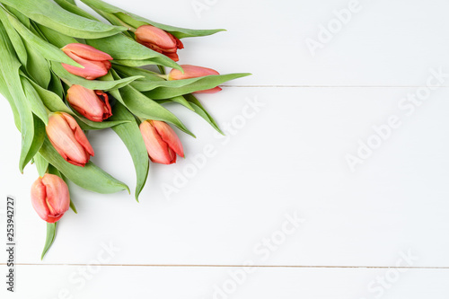 Bouquet of red tulips on display on a white painted wooden background, side view, gift for Mother's day or St Valentine's