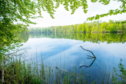 Fototapeta Naklejka Na Ścianę i Meble -  a lonely lake in Brandenburg (Germany) in spring