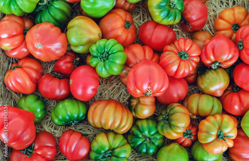 red and green tomatoes background © Alex