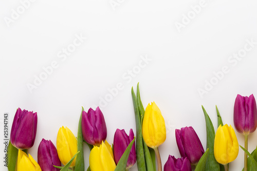 Fototapeta Naklejka Na Ścianę i Meble -  Spring Pink tulips on white background.