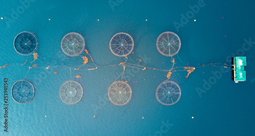 Fish farm near Vancouver island. Drone's view.. Top view photo