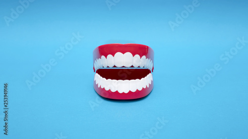 Plastic Modeling tooth and gum toys on a blue background.