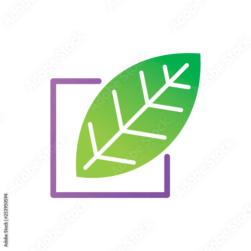 Leaf Logo Design Vector Template Set