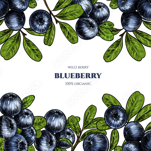 Vector frame with blueberry. Sketch vector  food illustration. Vintage style