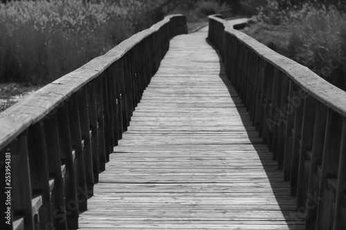 Walkways in the Las Tablas de Daimiel National Park, Spain, in black and white