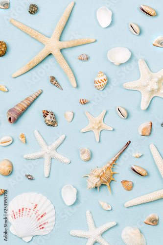 Seashells and starfish on a blue background.  Summer time concept. Nautical pattern.