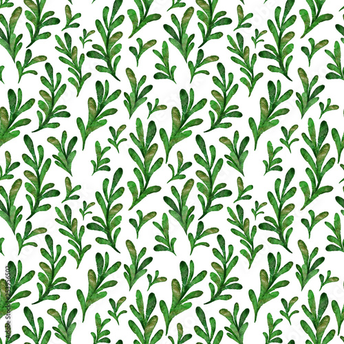 Watercolor green leaves seamless pattern. Elegant hand drawn plant on white background.