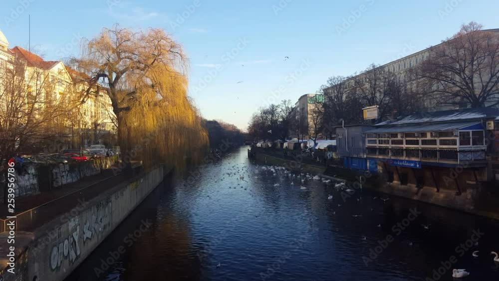 River with birds in Germany. Video recorded in Germany. River with birds in Germany. Video recorded in Germany.