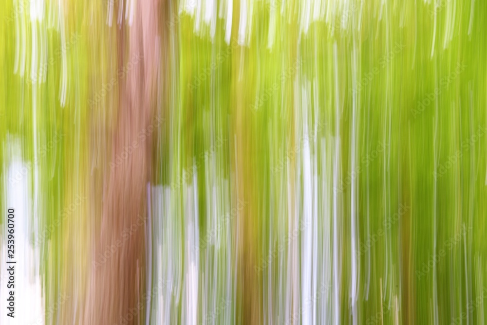 Green abstraction, lines, texture, color, nature. Green abstraction, lines, texture, color, nature.