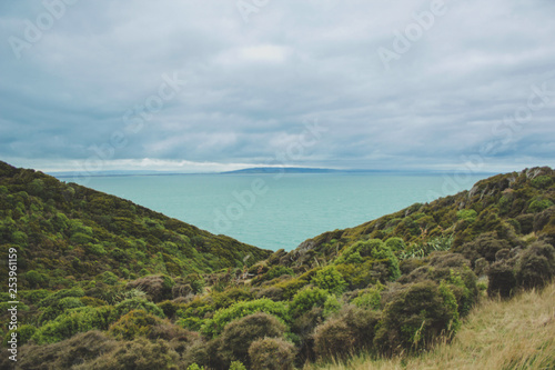 Scenic view over Otago region near Dunedin, South Island, New Zealand