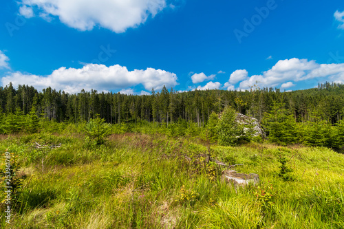 Tranquil landscape and blue sky with a few clouds at summer hot day. Beautiful green forest. 