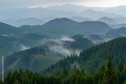 Breathtaking panoramic view of magnificent foggy mountains, covered with evergreen forest on misty quiet morning or evening under light clear sky. Distant layers mountains range in morning. © Creatikon Studio