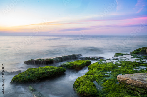 Colorful sea shore with green algae with long exposure water at sunset time