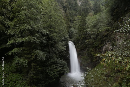 Palovit Waterfall with in the green forest, Rize, Turkey 