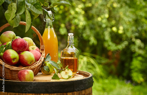 Vászonkép apples on background orchard standing on a barrel